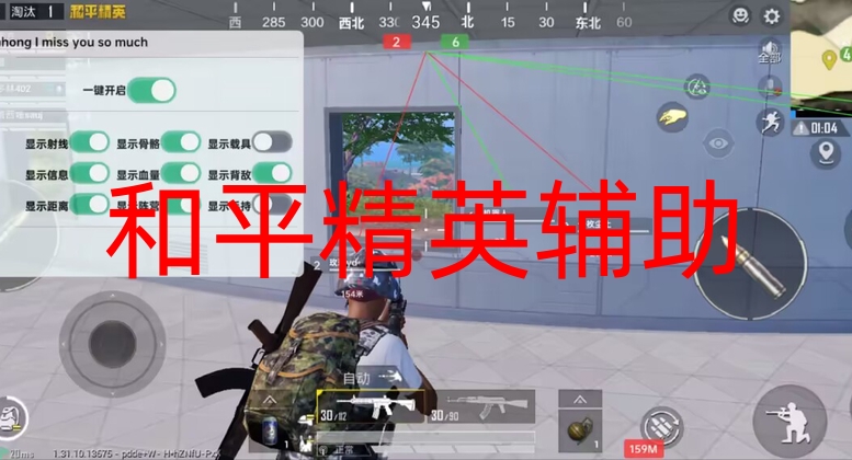 和平精英辅助-和平直装【貂蝉】