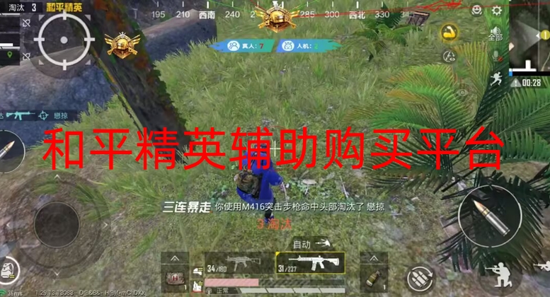 和平精英辅助购买平台-和平直装【快鱼