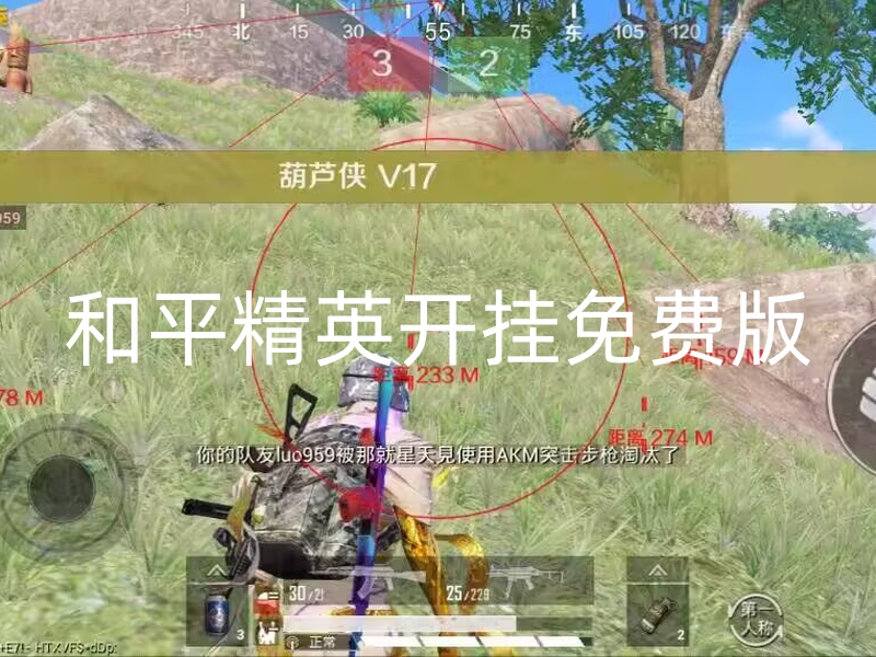 和平精英开挂怎么开-和平直装【小灰灰原大